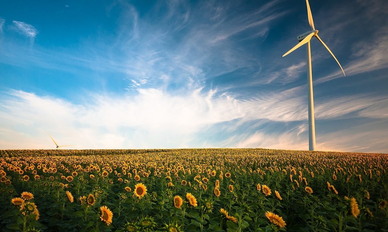 Renewable Energy sources | Image by Pexels via Pixabay